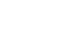 Evolution games at Turbo Vegas Casino